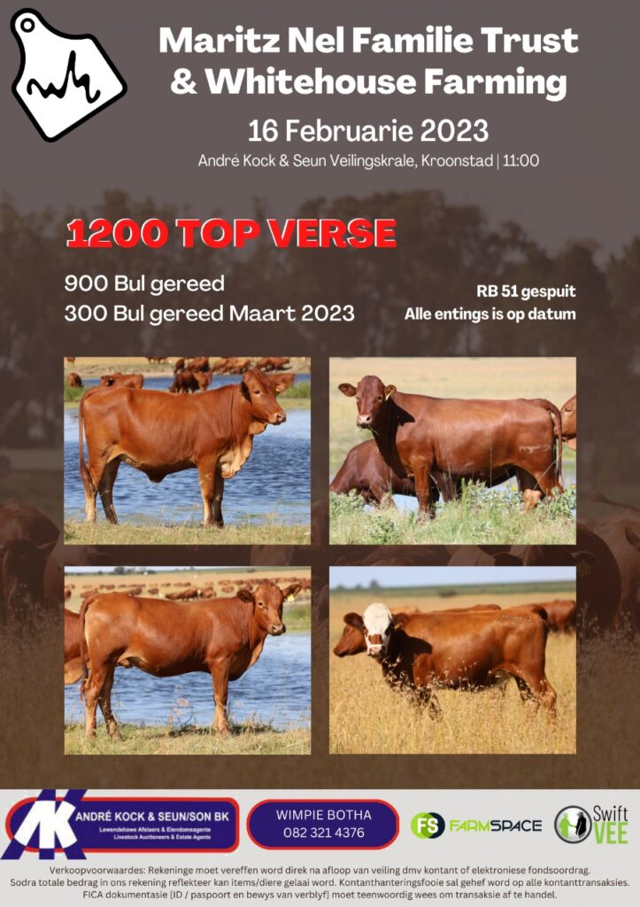 Verse veiling Kroonstad